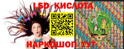 дживик Камышлов