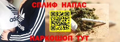 дживик Камышлов