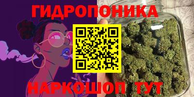 дживик Камышлов