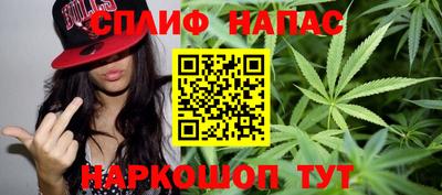 дживик Камышлов