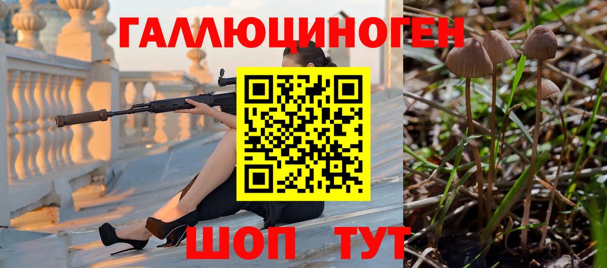 Псилоцибиновые грибы GOLDEN TEACHER Ишим