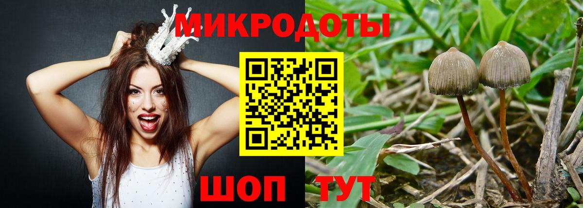 Галлюциногенные грибы ЛСД  Галлюциногенные грибы прущие грибы  Вход с VPN  Ишим 